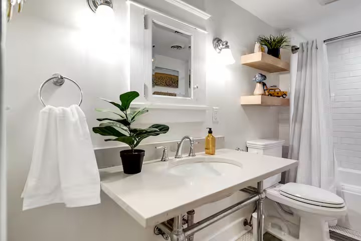 imgi_16_513d5cf4-4142-4a7b-9288-c2833ccda374